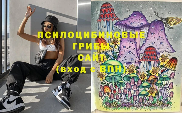 ПСИЛОЦИБИНОВЫЕ ГРИБЫ Богородск
